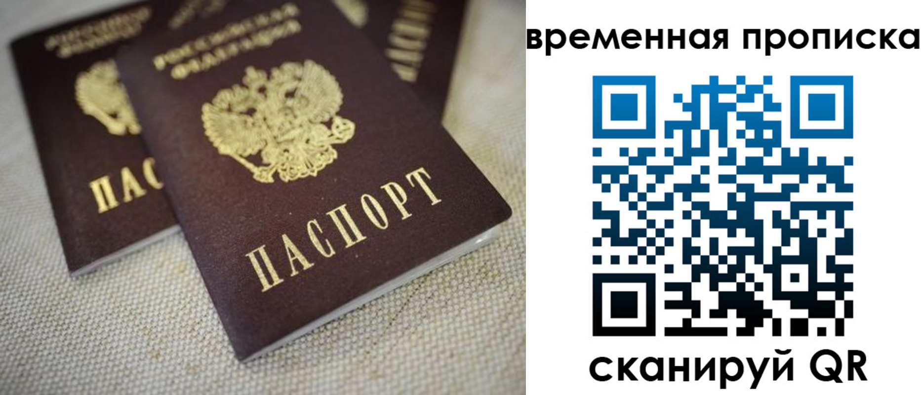 прописка ребенка в Александровске